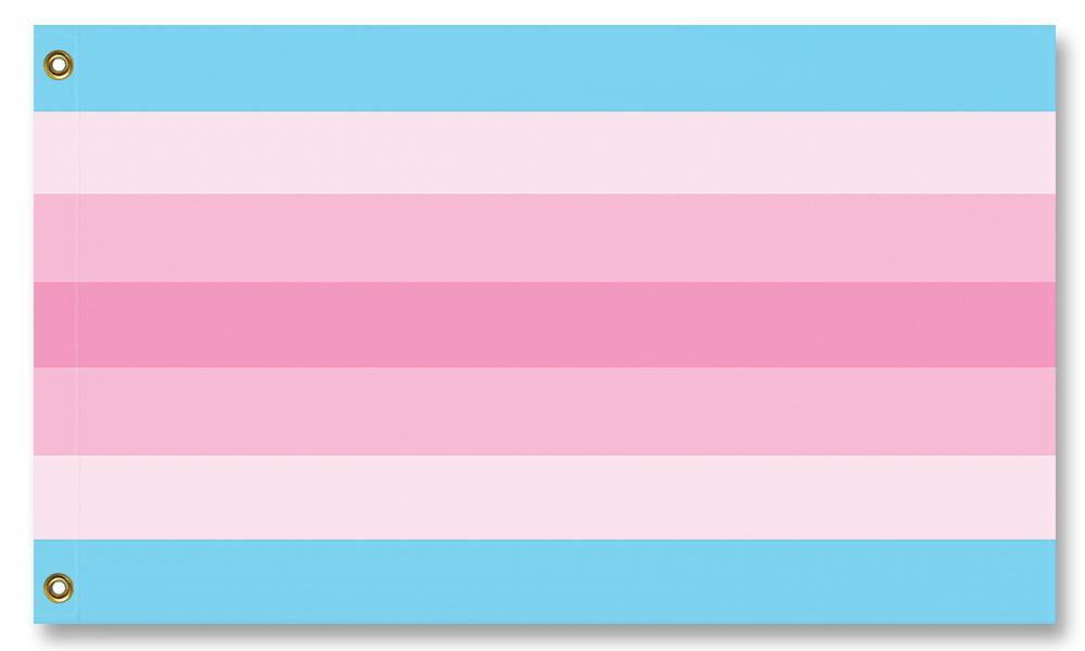 Transfeminine Pride Flag, Custom LGBTQIA Trans-Feminine Transgender-Transfeminine Pride Flag. High quality indoor / outdoor pole flag, professionally made in the USA in your choice of size & style. Single or double sided, grommets or pole sleeve / pocket. Fully customizable. – Trans Feminine, Transgender LGBTQIA LGBTQ LGBT GLBT Intersex Nonbinary Rights Equlity Protest March Festival-5 ft x 3 ft-Standard-Grommets-
