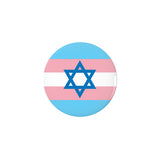 Transgender Jewish Pride Buttons, LGBTQIA Intersectional Trans Pins-High quality scratch and UV resistant mylar & metal pinback button. 1.25, 2.25 or 3 inches. Custom Trans LGBTQ LGBTQIA LGBTQX Intersectional Jewish Magan Star of David Pride Badge - Flag Stripes - Jewish Transman Transwoman Transgender Rights - Visibility, Representation, Equality-1.25 inch Round Button-