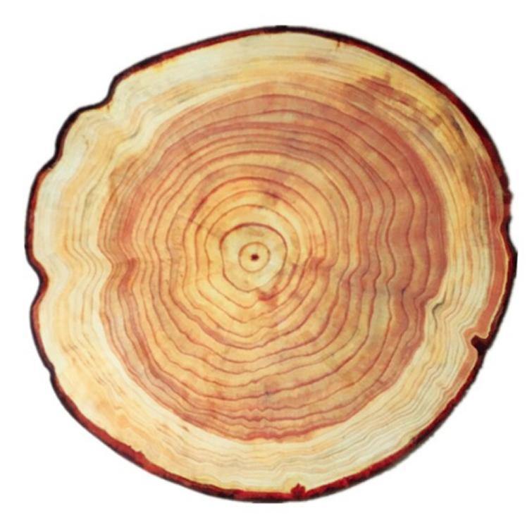 Tree Ring Slice Floor Mat / Area Rug, Unique Rustic Cabin Nature Decor-Unique floor mat printed with realistic tree ring pattern and shaped to match. Mat has a plush 3D polyester ultrafine fiber top and non-slip bottom. Roughly 6mm thick and available in sizes ranging from about 2ft to 6ft in diameter. These mats typically ship in 4-6 business days. Once shipped most arrive in 2-3 weeks.-23.6 inches-