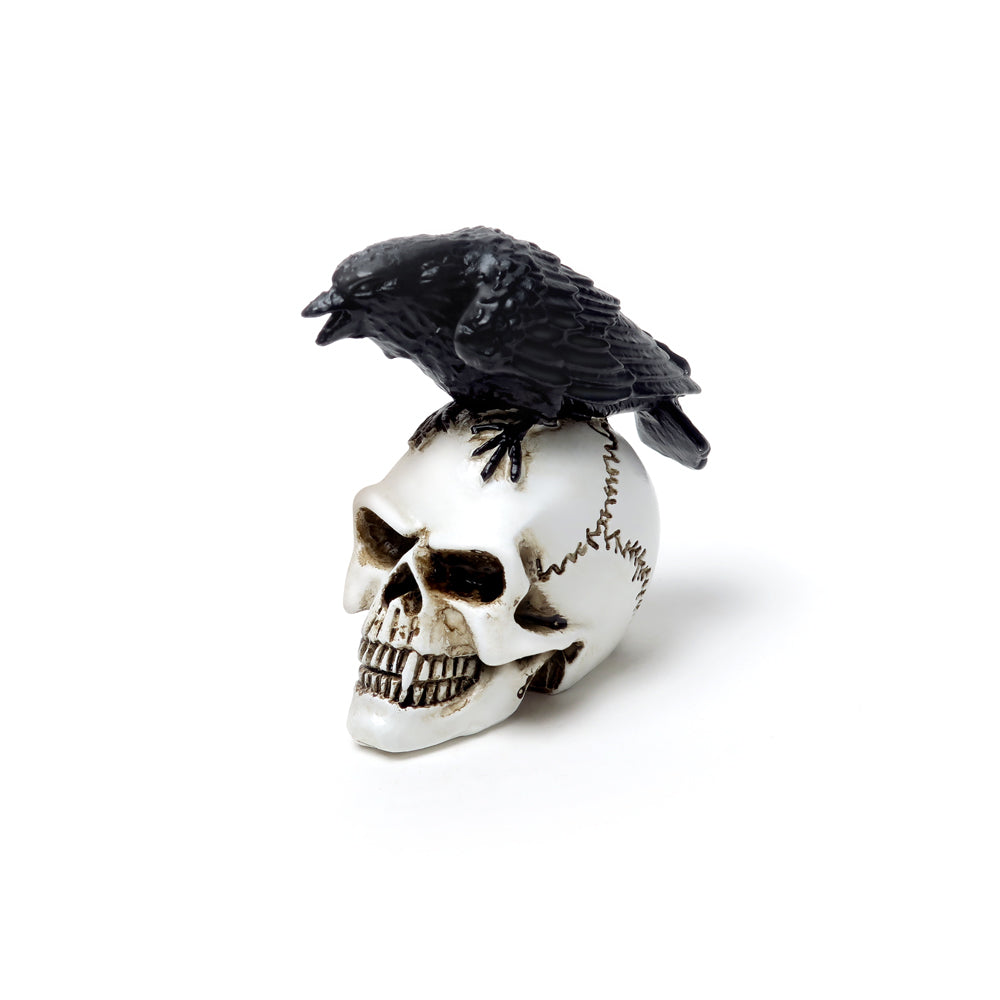 Poe's Raven Skull Miniature, Alchemy Gothic, Vault Resin Giftware-High quality miniature resin skull with perching raven by Alchemy Gothic. Hand painted with intricate detail. Making them the perfect gift for a loved one or a talisman to treasure! Measures approximately 2.5cm / 0.98in x 4.1cm / 1.61in x 5cm / 1.97in, weight: 25g / 0.67oz – Genuine Alchemy Product - Brand New in Packaging. - Ships from USA, Crow Raven Horror Halloween-