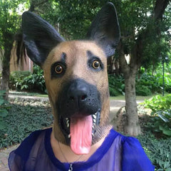 -Funny latex over-the-head German Shepherd dog mask. One size fits most. Free shipping from abroad with average delivery to the USA in 2-3 weeks. Halloween cute kawaii costume cosplay dog mask-