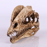 Dilophosaurus Skull Lifelike 1:3 Scale Resin Dinosaur Fossil Replica-High quality 1:3 scale resin replica Dilophosaurus dinosaur skull. Measures roughly 18x12x5cm / 7x4.7x2in. Free shipping from abroad, averages 2-3 weeks to the USA.

early jurassic bipedal theropod Dilophosauridae north american Arizona dino bones fossil paleontology archeology collectible educational model gift-