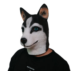 -Funny latex over-the-head Husky puppy mask. One size fits most. Free shipping from abroad with average delivery to the USA in 2-3 weeks. Halloween cute kawaii costume cosplay dog mask-