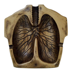 -Unique high quality resin lung shaped ashtray. Guaranteed conversation pieces that make great wtf gifts..Free shipping. macabre blunt disturbing bizarre gross weird gothic punk worst gifts cancer sticks cigs smoke fag cigarette smoker ciggy butt smoking cessation nihilistic message stop fuck off weirdest thing -Antiqued-