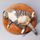-Nicely detailed 1:6 scale lethargic fat cat figurine with plush mini cat bed. Cat is crafted in high quality resin and measures approximately 13x6.5x3cm / 5.3x2.6x1.2in. New in box, guaranteed quality. Free shipping.

Funny sweet realistic collectible 1/6 orange black white brown gray tabby kitty figure gift miniature-