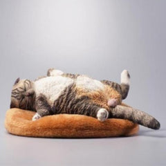-Nicely detailed 1:6 scale lethargic fat cat figurine with plush mini cat bed. Cat is crafted in high quality resin and measures approximately 13x6.5x3cm / 5.3x2.6x1.2in. New in box, guaranteed quality. Free shipping. Funny sweet realistic collectible 1/6 orange black white brown gray tabby kitty figure gift miniature-Brown Tabby-