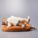 -Nicely detailed 1:6 scale lethargic fat cat figurine with plush mini cat bed. Cat is crafted in high quality resin and measures approximately 13x6.5x3cm / 5.3x2.6x1.2in. New in box, guaranteed quality. Free shipping.

Funny sweet realistic collectible 1/6 orange black white brown gray tabby kitty figure gift miniature-Calico-