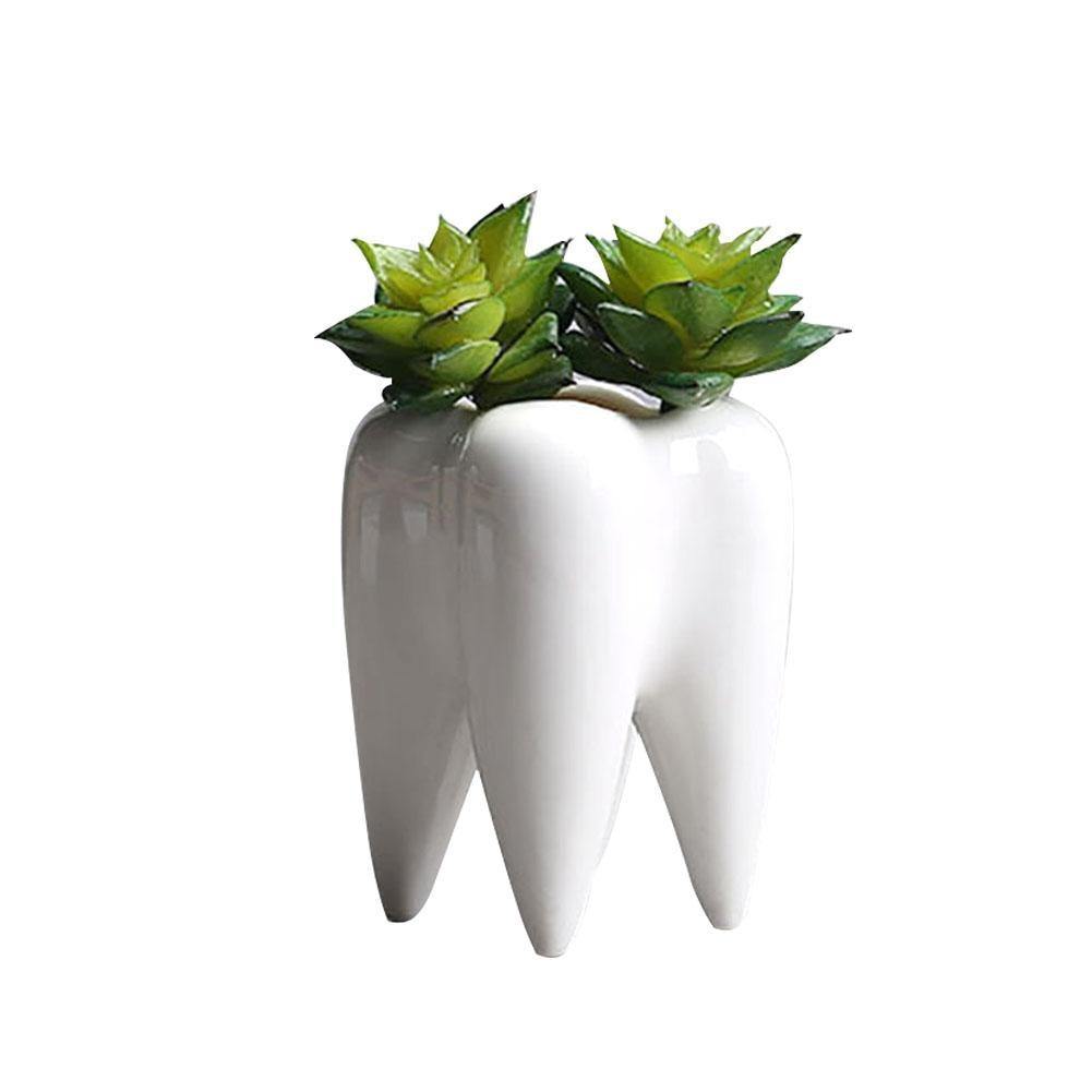 desktop succulent planter Tooth Shaped Desktop Succulent Planter – Domestic Platypus